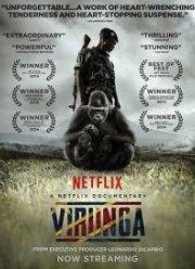 Вирунга (2014)