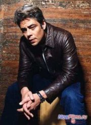 Как проникает свет (2014)