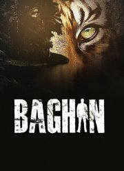 Багин (2024)