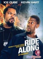 Совместная поездка (2014)