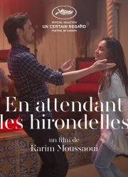 Когда вернутся птицы (2017)