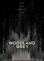 Серый лес (2022)