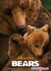 Медведи (2014)