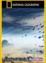 ���������� ������ (2011)