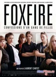 Фоксфайр, признание банды девушек (2012)