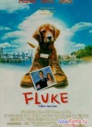 Флюк (1995)