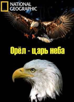 Орел - царь неба (2014)