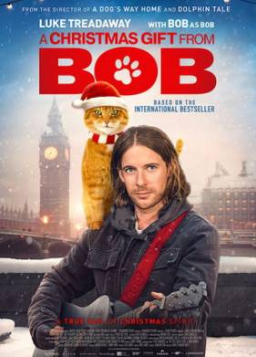 ��������� ���� ���� / ������� �� ���� ���� (2020)