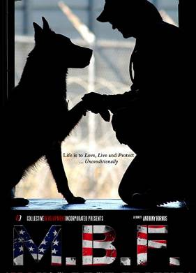 ������ ���� �������� (2019)