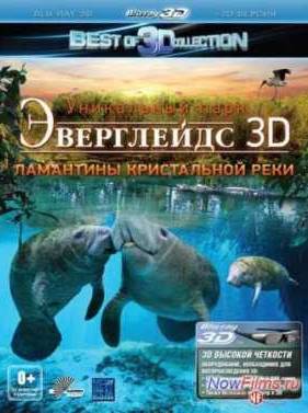 Эверглейдс 3D: Ламантины Кристальной реки (2012)