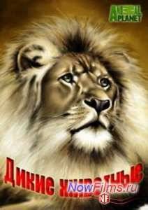 Animal Planet. Дикие животные (2014)
