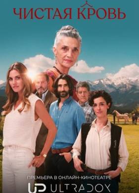 ������ ����� (2026)