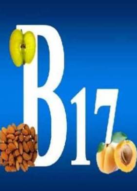 Мир без рака и Витамин В17 (2010)