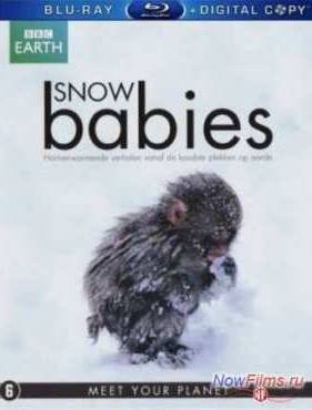 ���� ������ (2012)